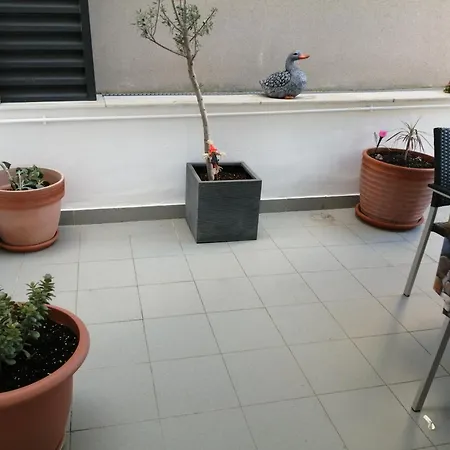 公寓 Oller Centro 罗萨斯